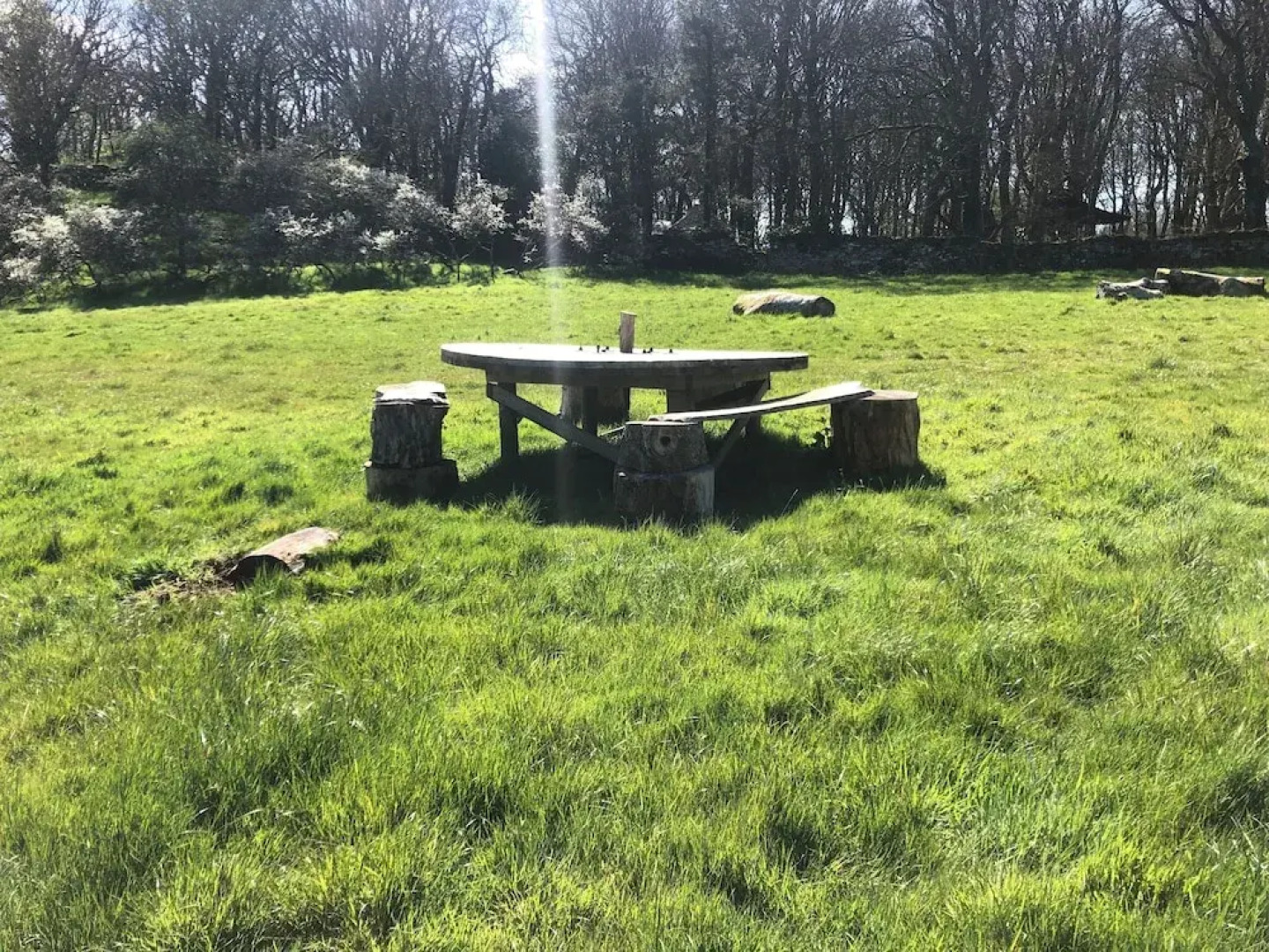 Elm - Bell Tent 2-4 Person Anglesey, North Wales