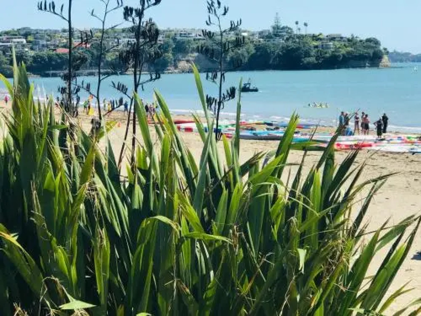 Whitby Studio - Mairangi Bay Beach