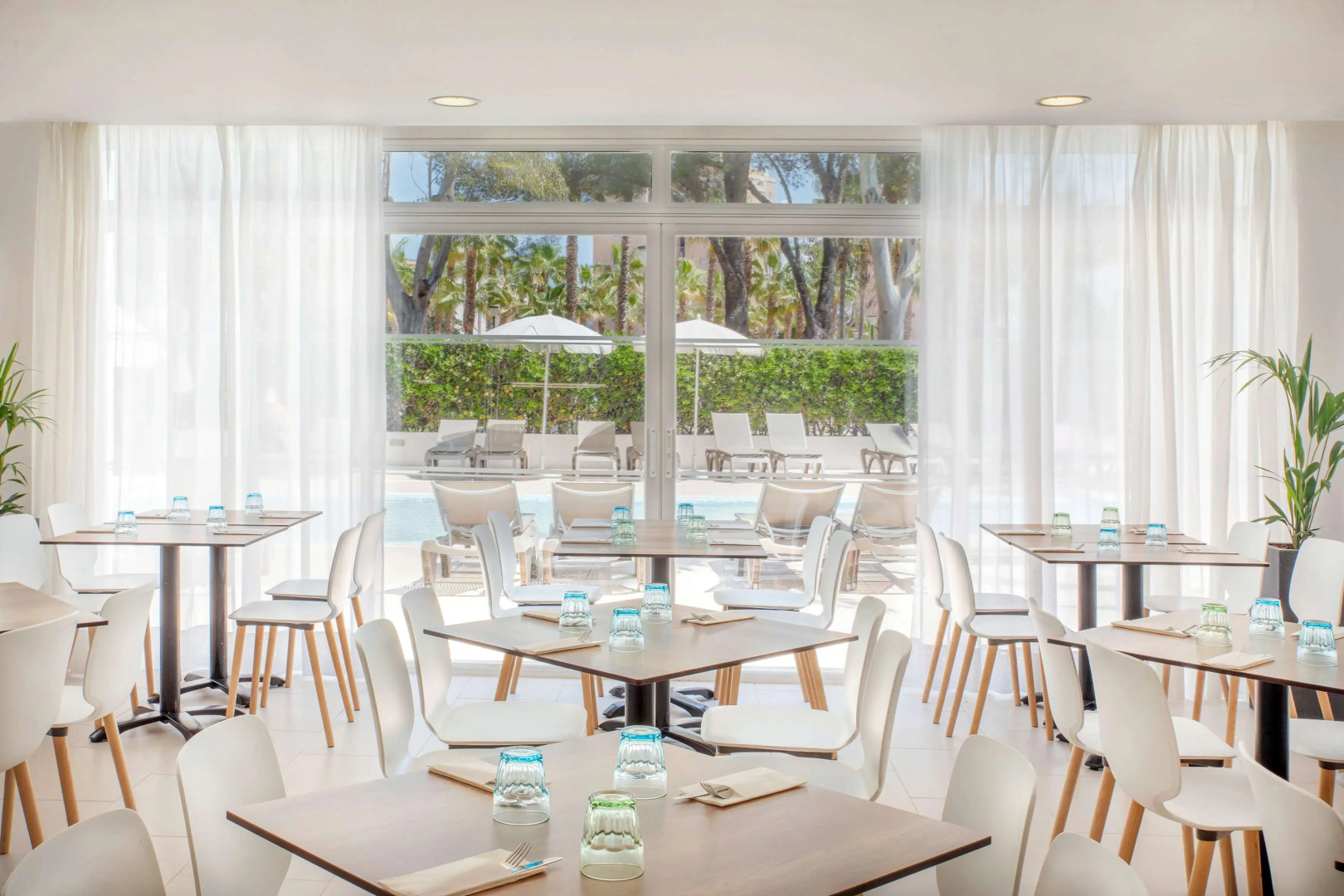 Sol Palmanova Mallorca