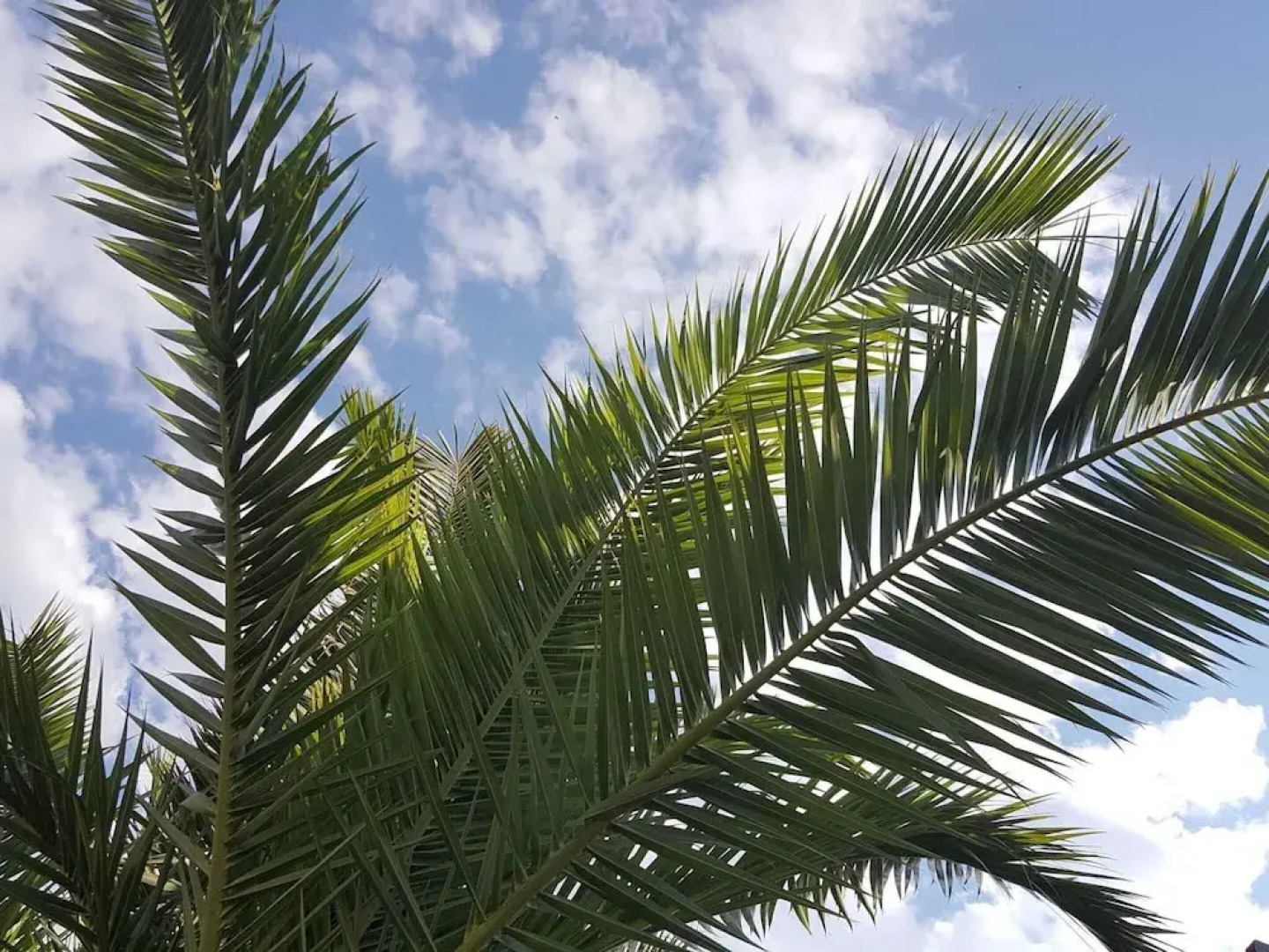 Rooms Milena - Triple Room With External Private Bathroom