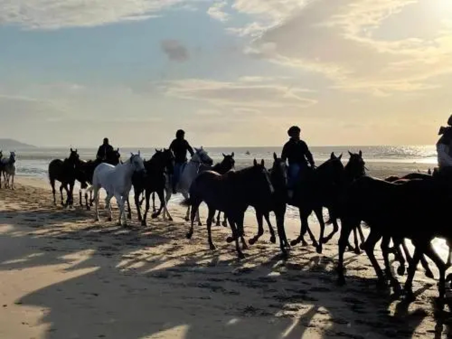 L'estacade marina deauville