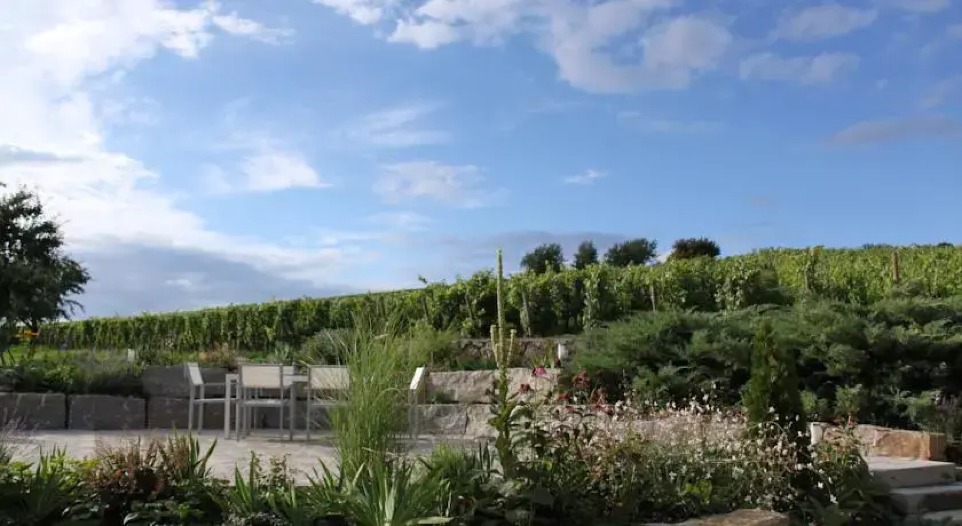 Benz - Das Weinhotel