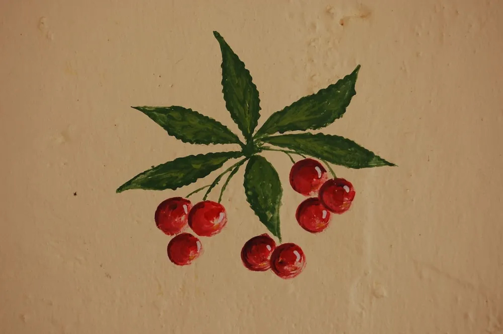 Agriturismo Monticello Di SantAlpestro