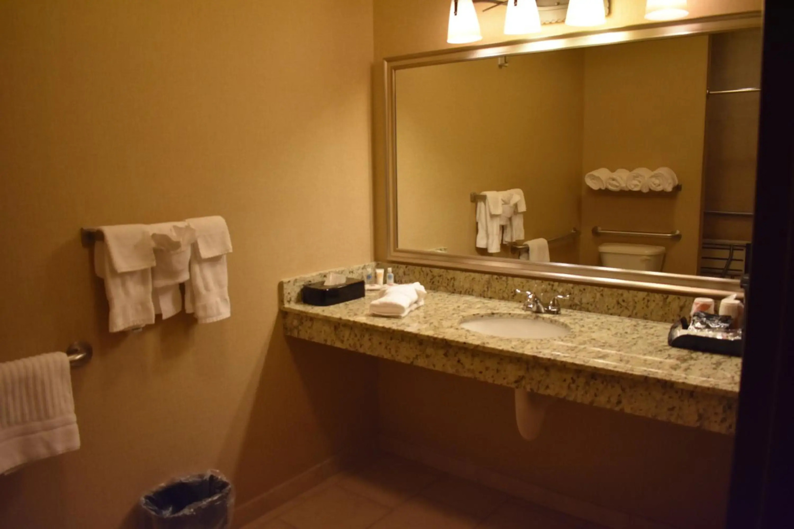 Comfort Inn and Suites Near Lake Guntersville