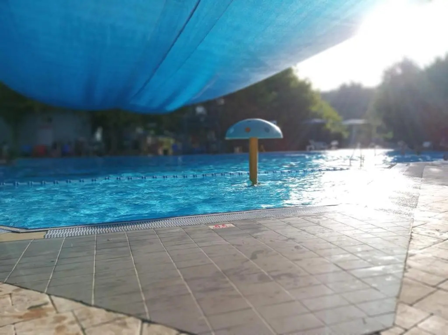 The House In The Oaks הבית באלונים