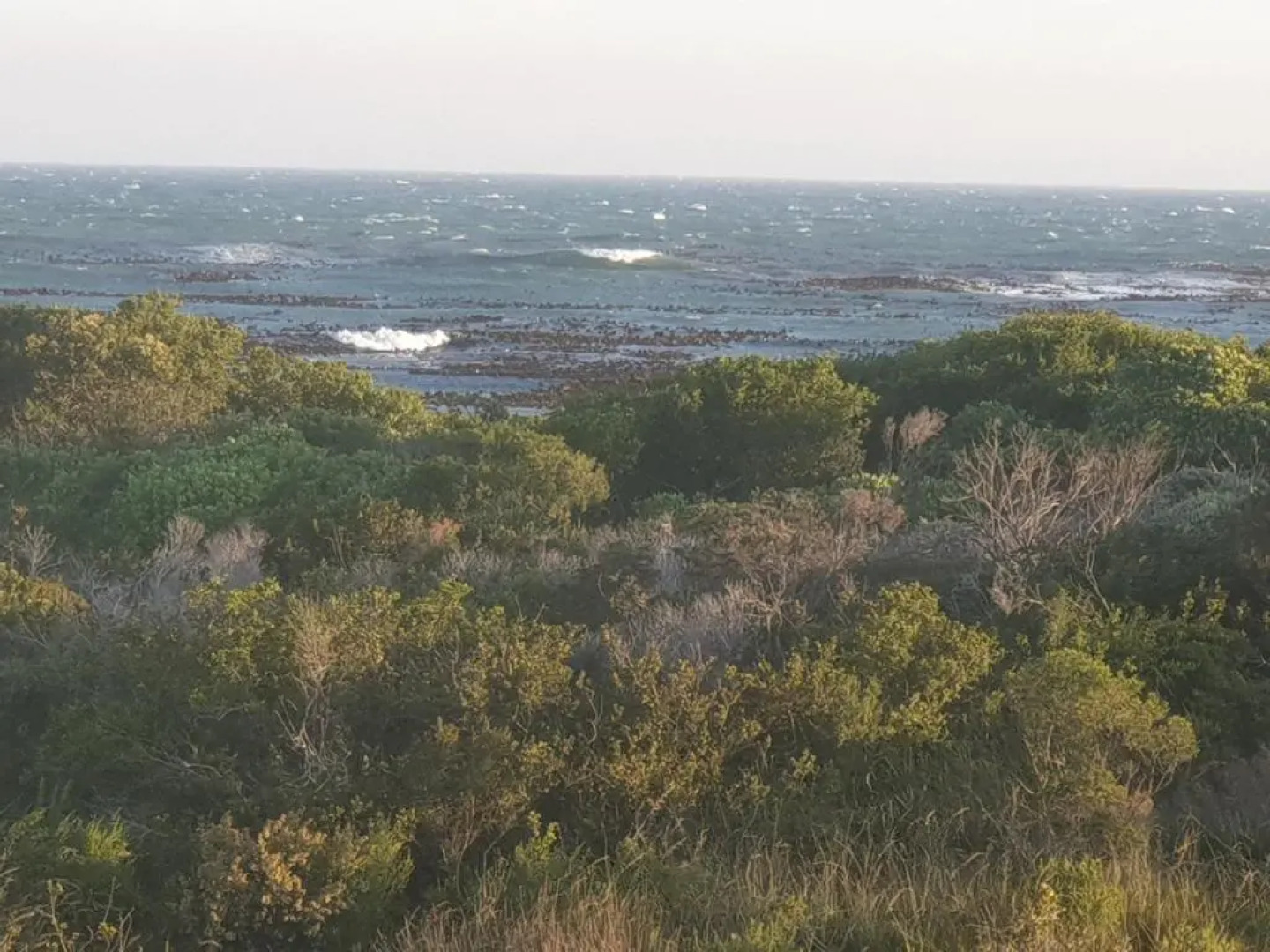 Rocky Pools Bettys Bay