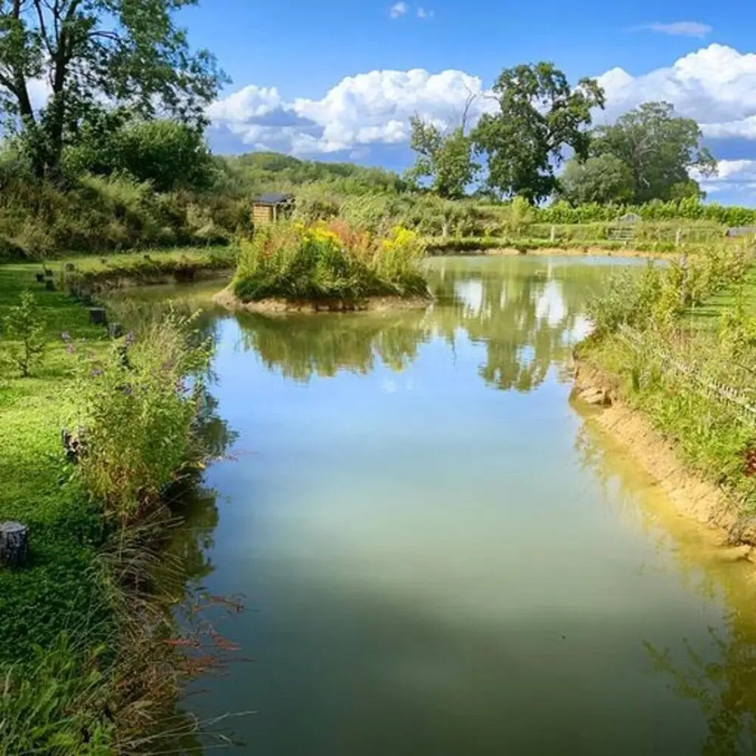 Captivating 1-bed Cabin in Newmarket