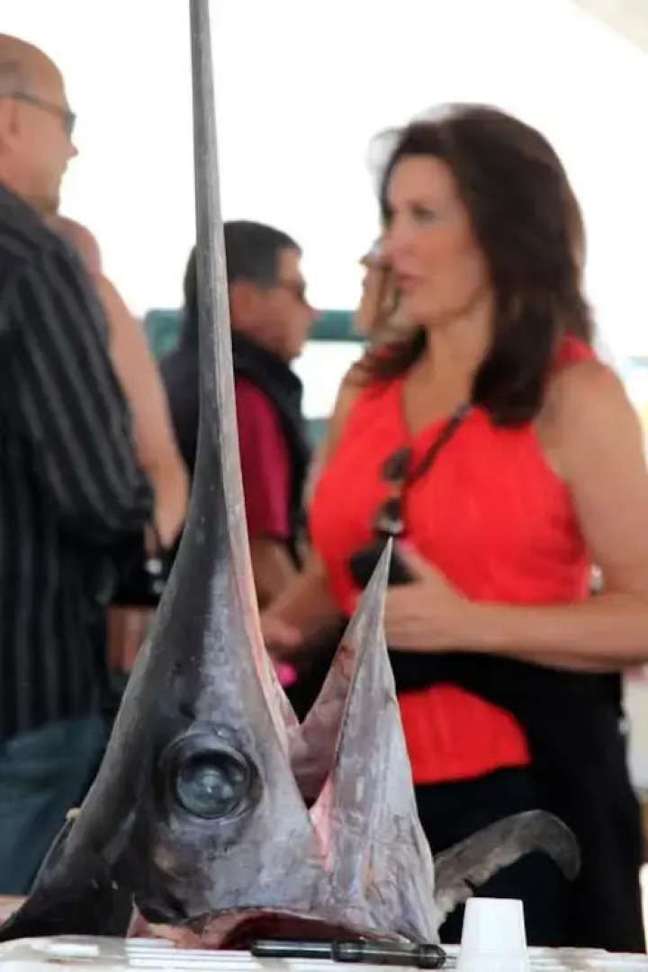 Langolo dellarchitetto