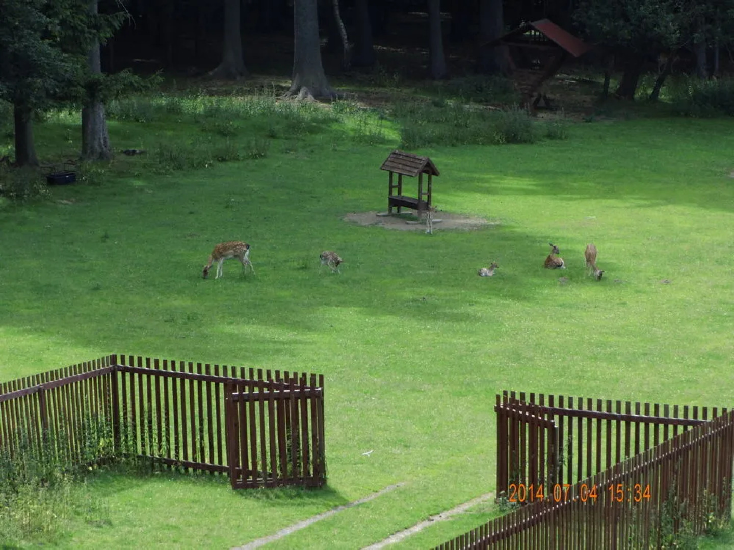 Pension Villa Berolina