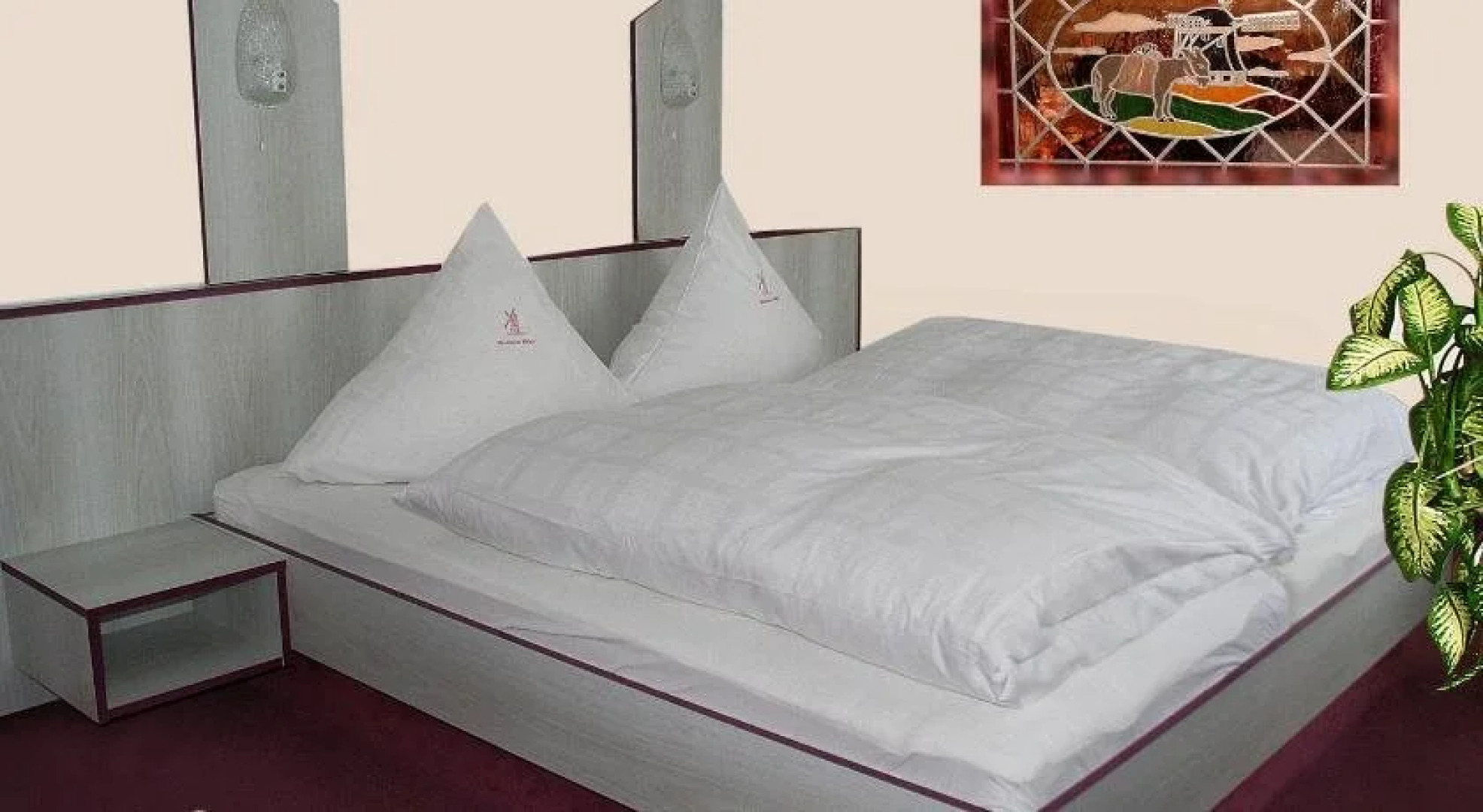 Hotel Demminer Mühle