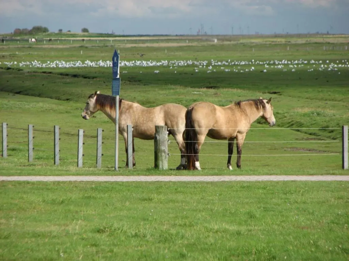 Seevilla Wietjes Whg 5
