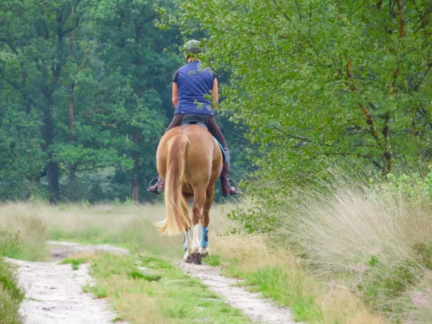 Bed And Breakfast De Paalberg