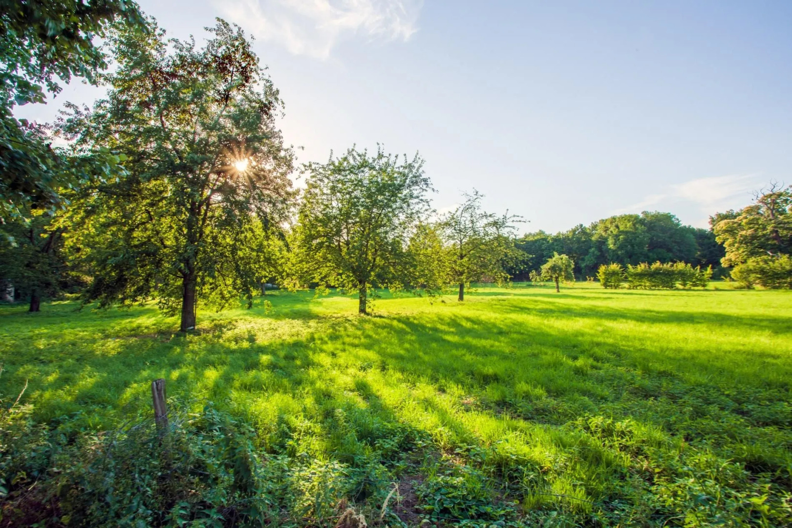 Charming Villa Near Maastricht and Hillside