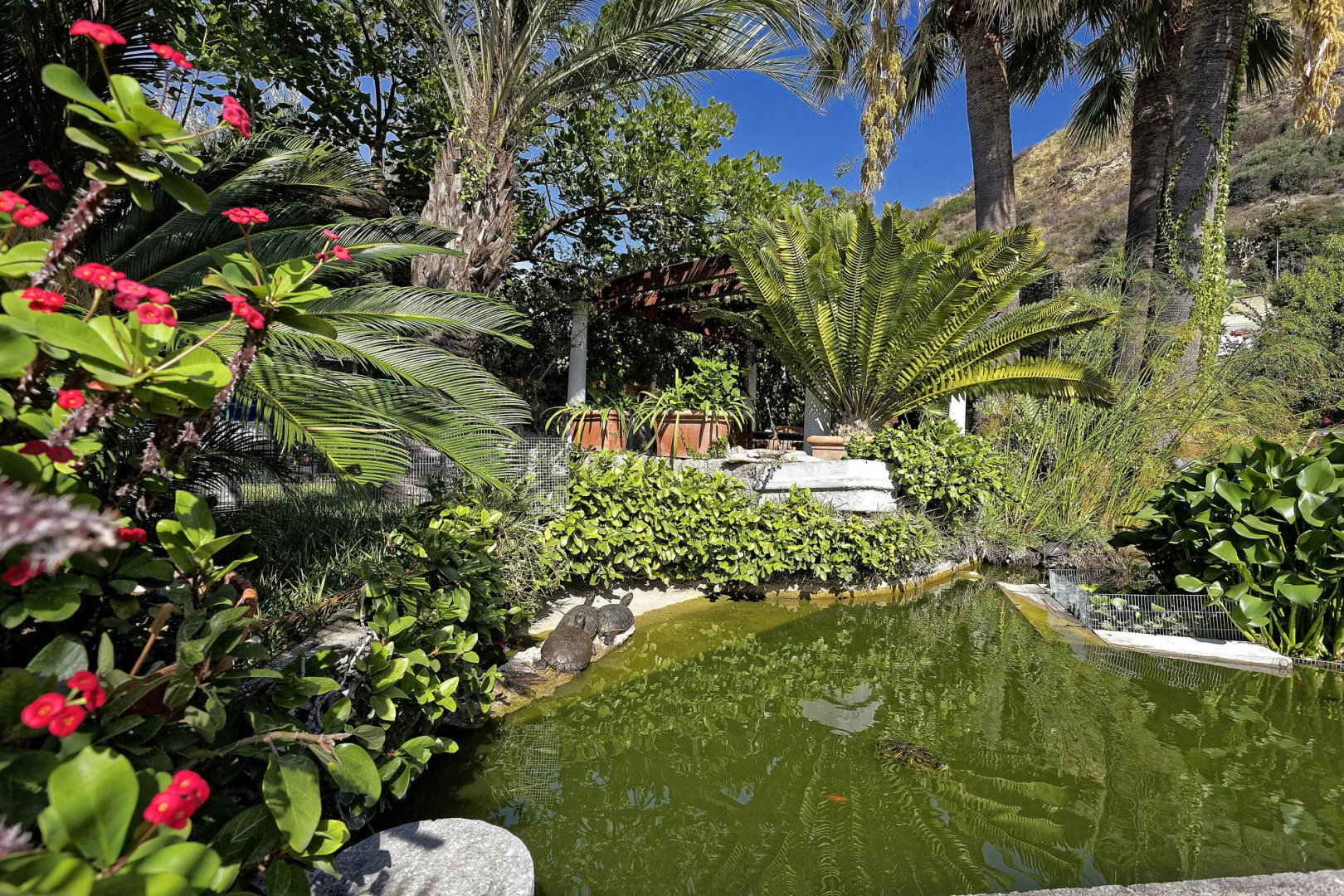 Hotel Parco Smeraldo Terme & Residence