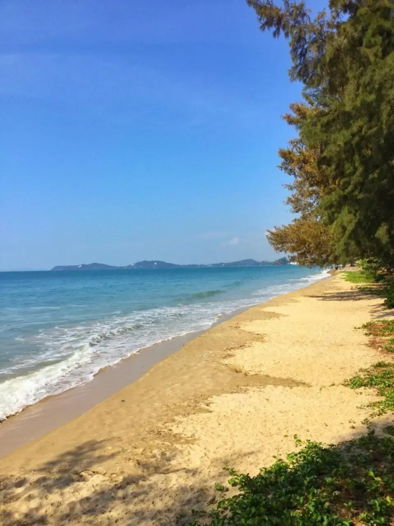 Grandblue condominium Room401 LeamMae phim Beach