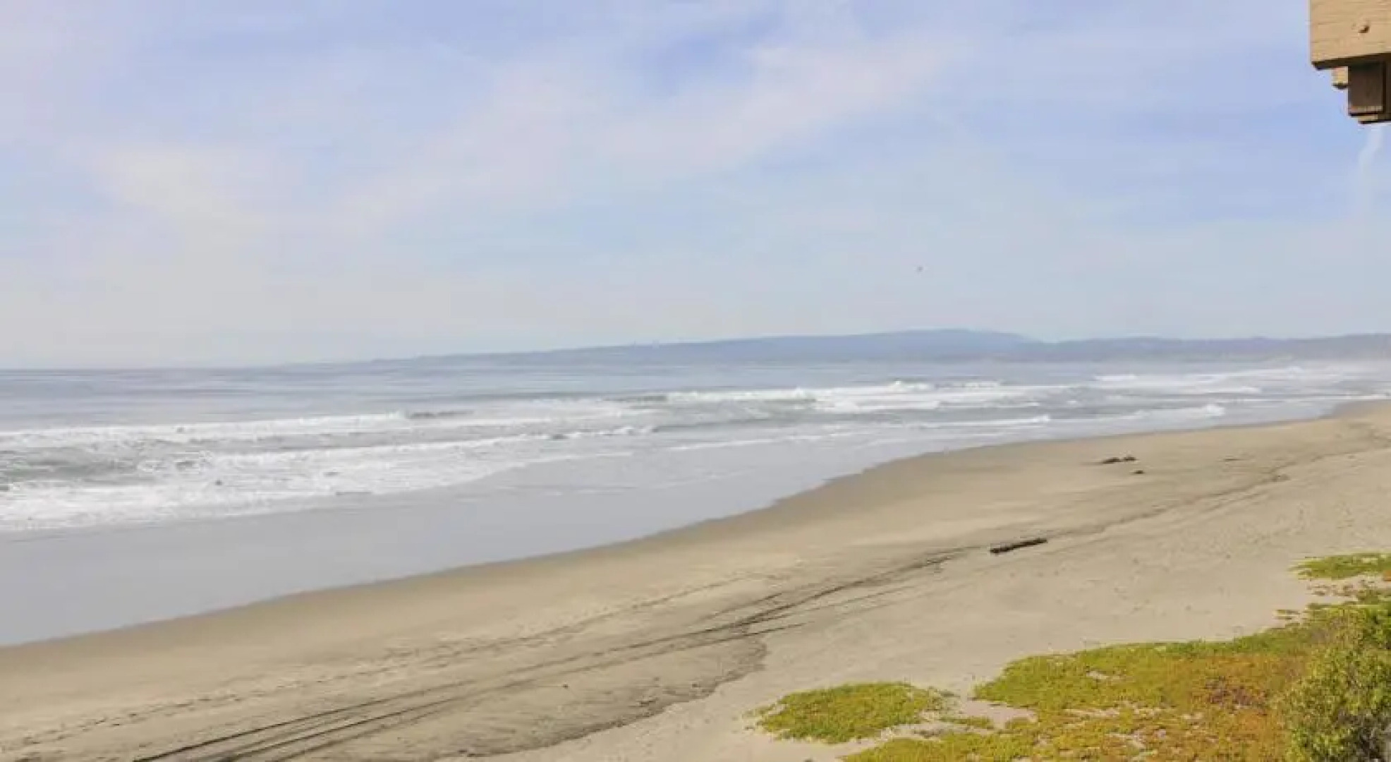 Sand Dollar Beach Retreat