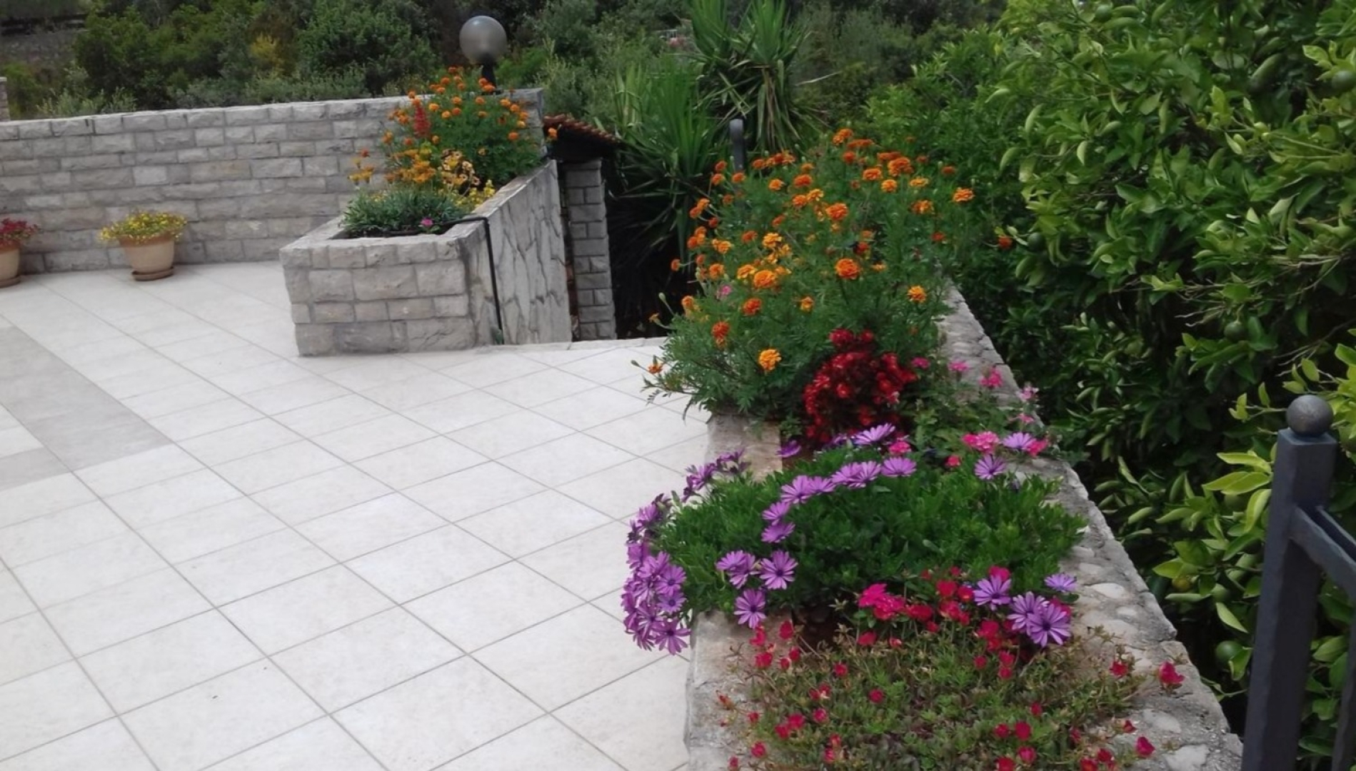 Holiday house More - with large terrace : Necujam, Island Solta