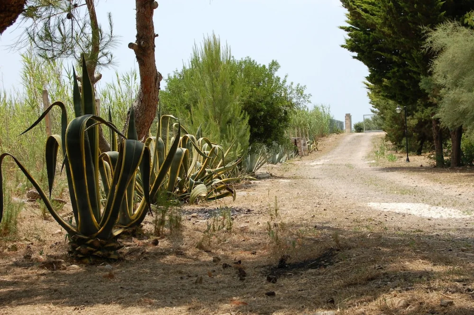 Villa Boschetto B&B - Apartments