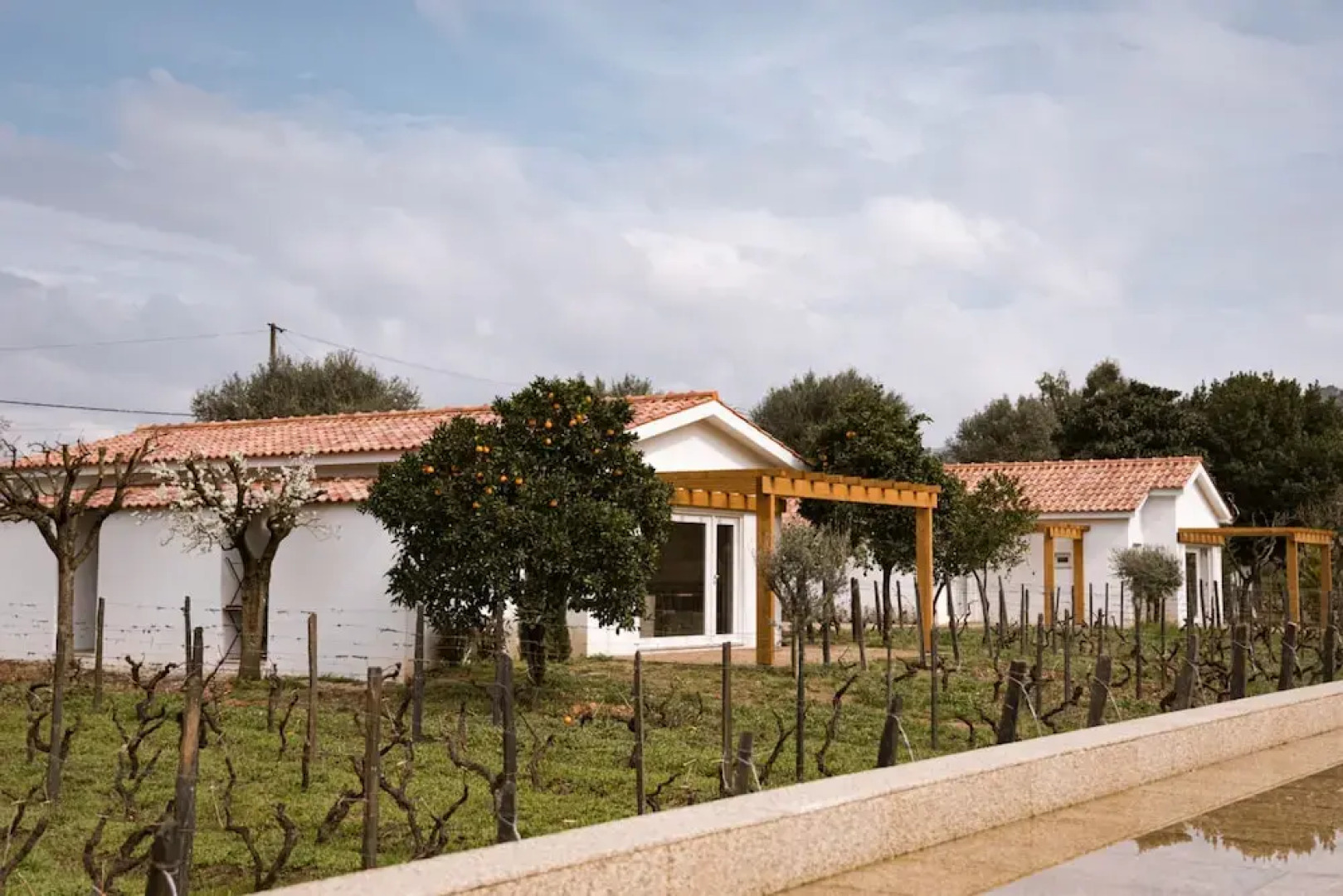 Imago Houses 1 - by MET