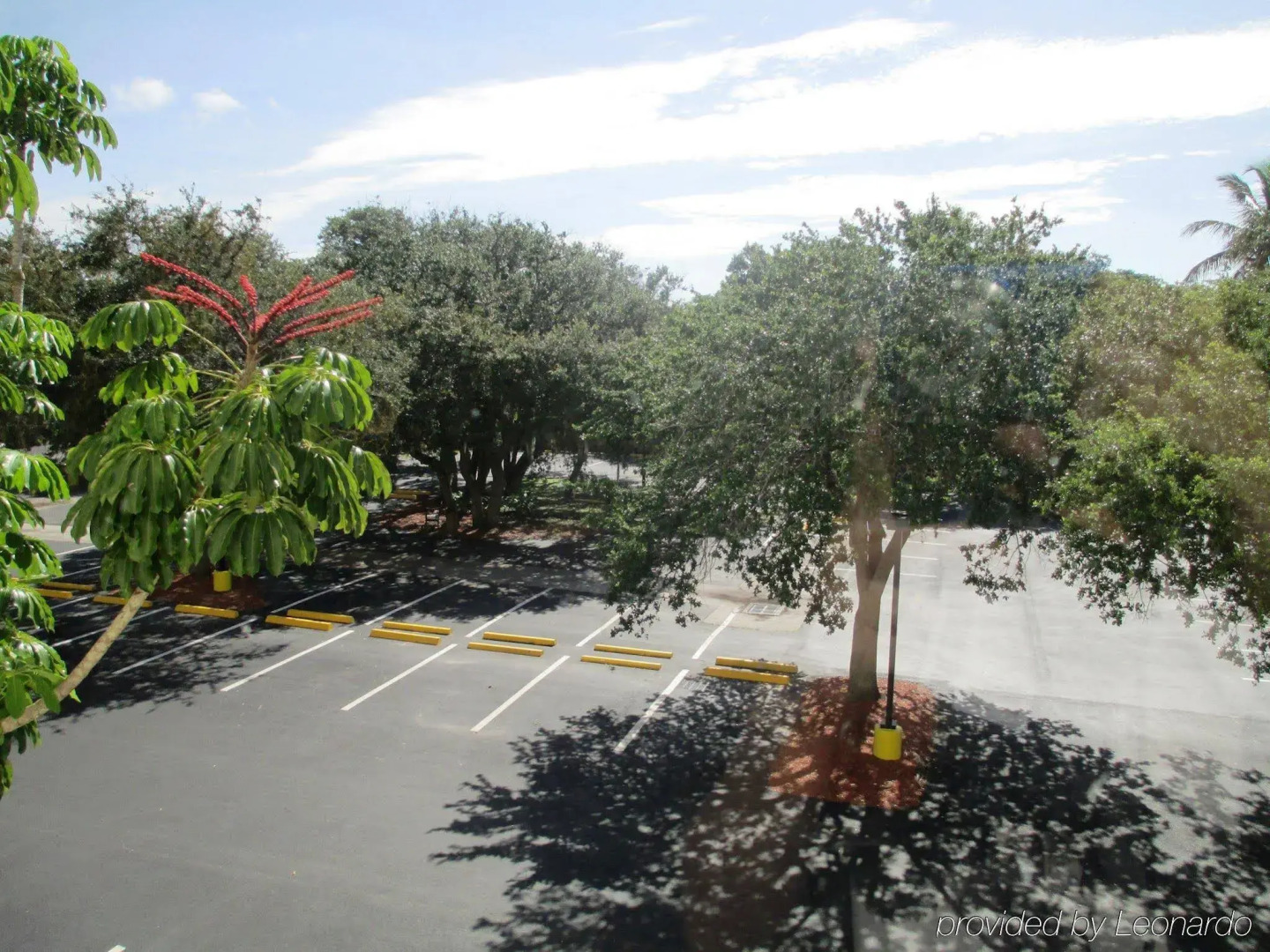 Holiday Inn Fort Myers - Downtown Area by IHG