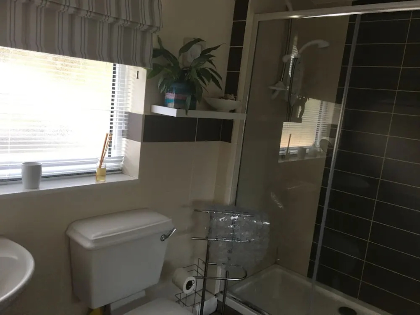 The Studio Apartments