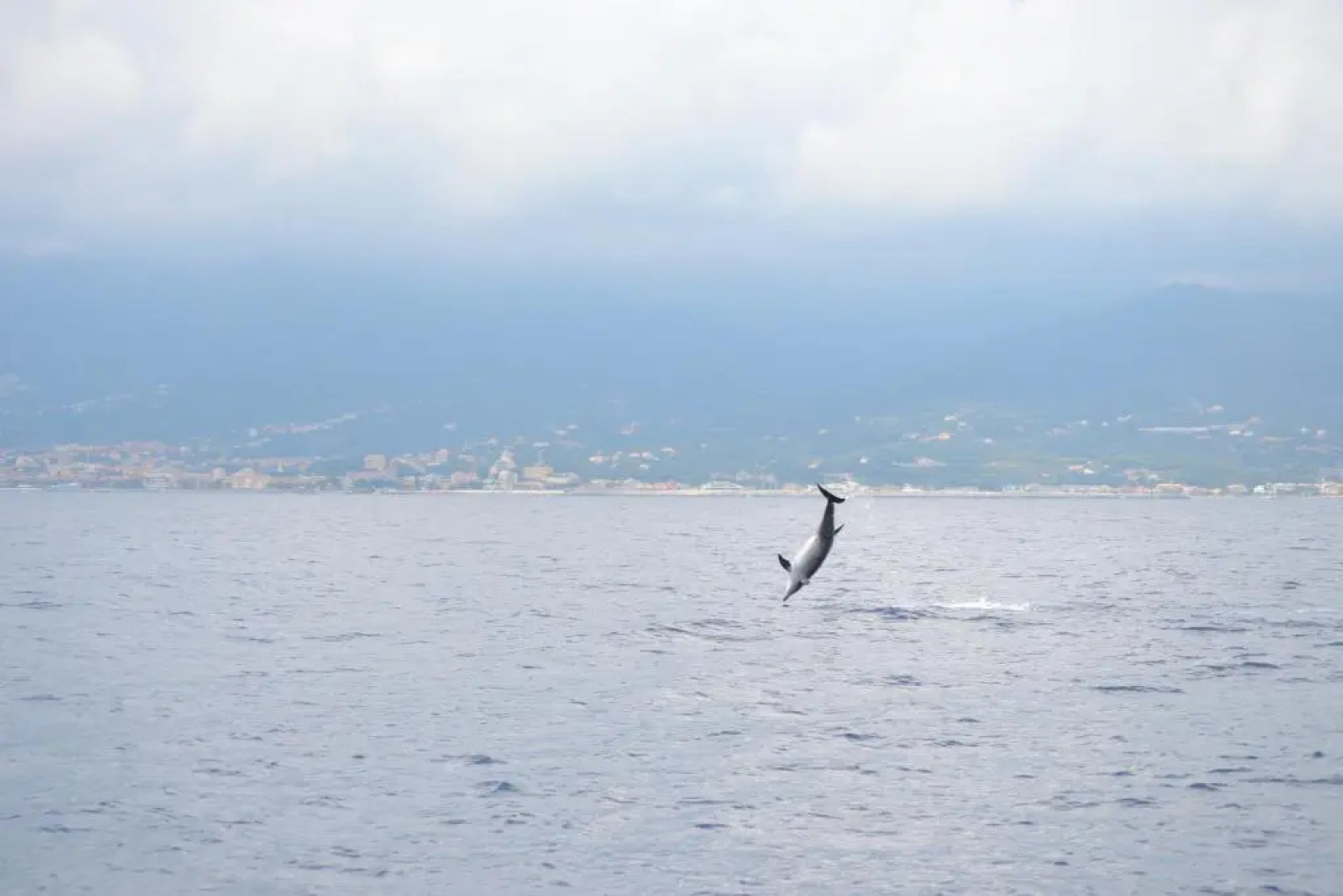 Le Vele Residence Sailing Boat