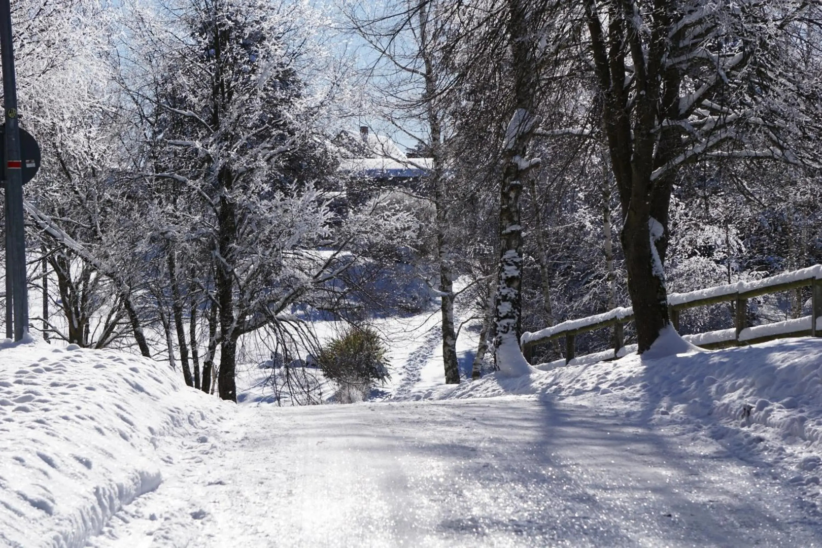 Wanderlust - Thüringer Wald, Rennsteig, Finsterbergen