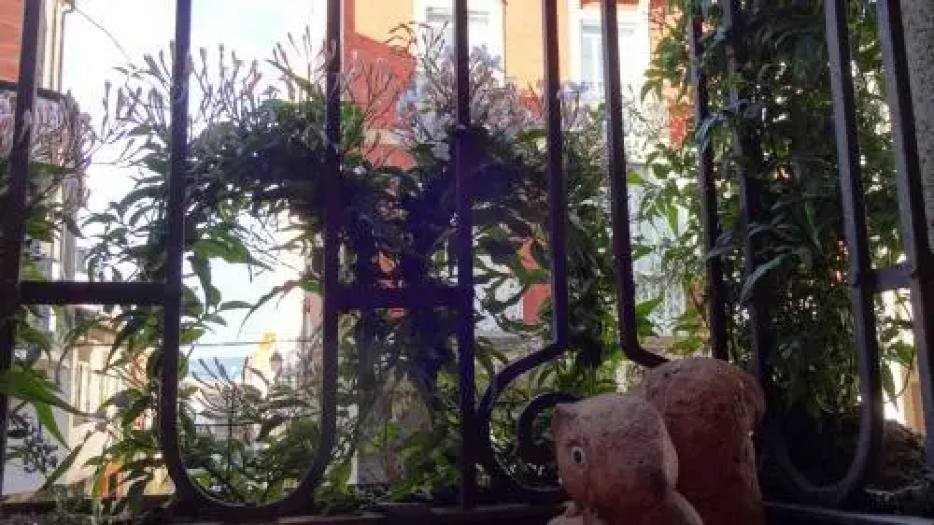 Hotel Rural Cayetana