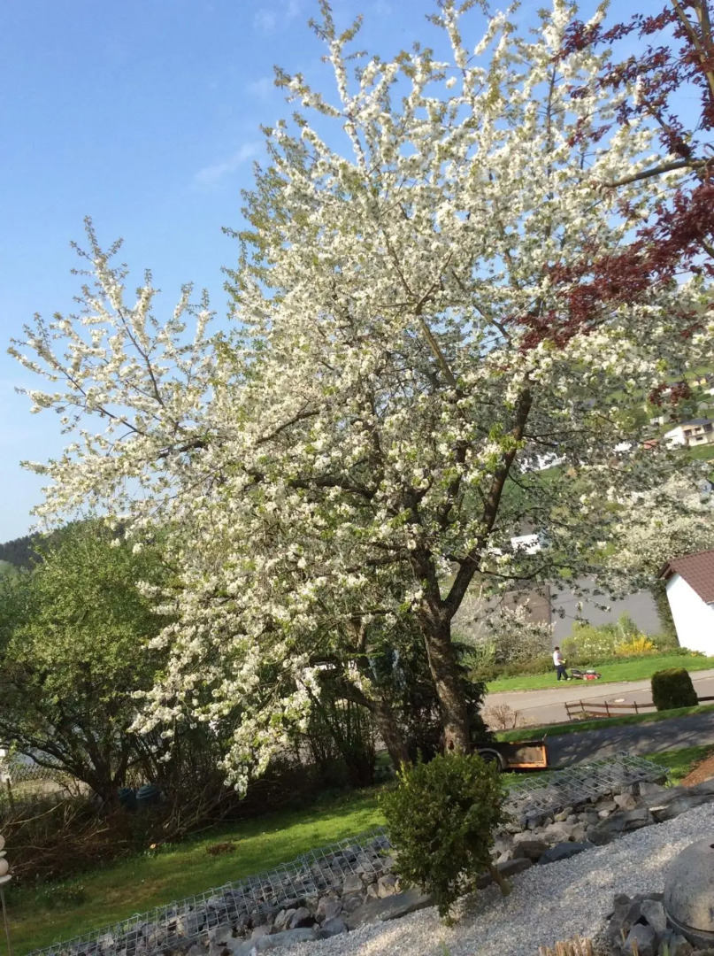Ferienwohnung Zum Harpelstein
