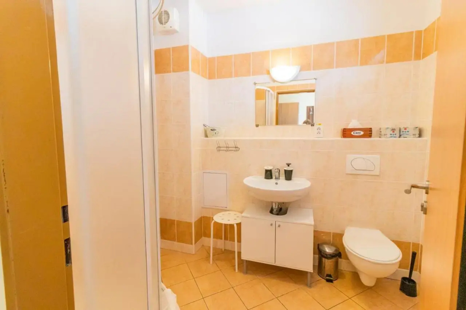 Apartmán Velké Losiny