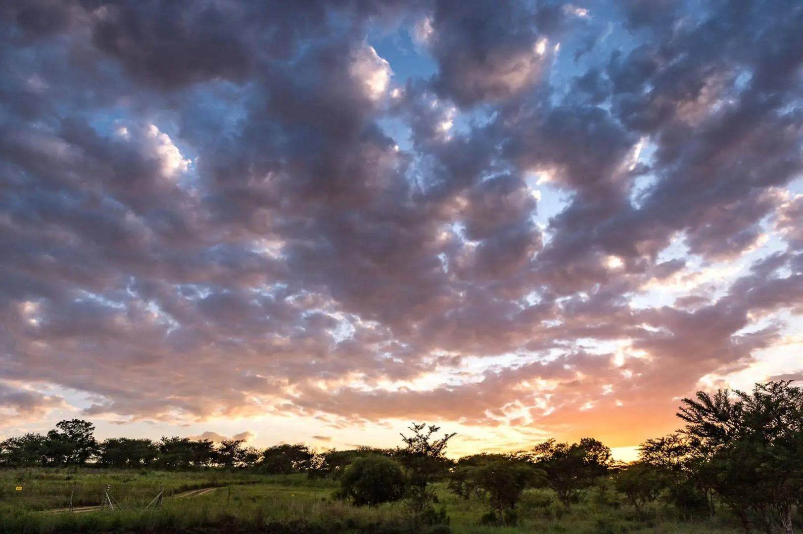 The Hilton Bush Lodge