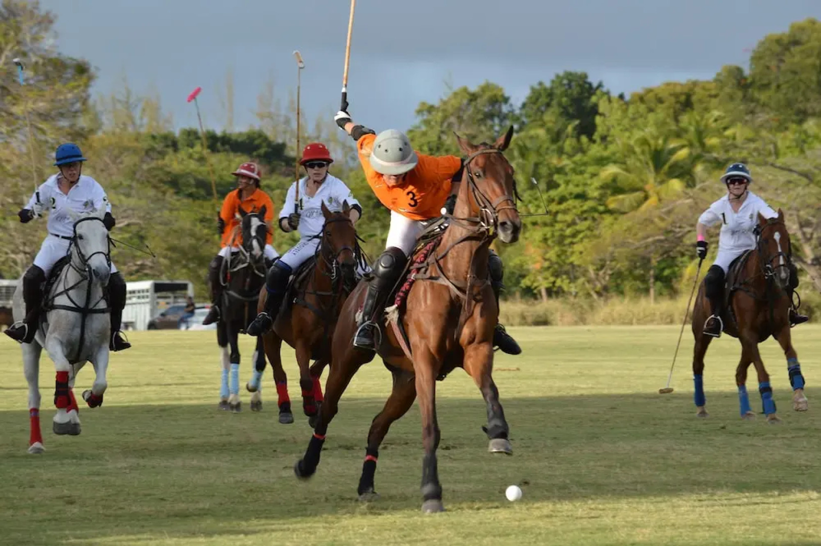 Apes Hill Golf and Polo Club