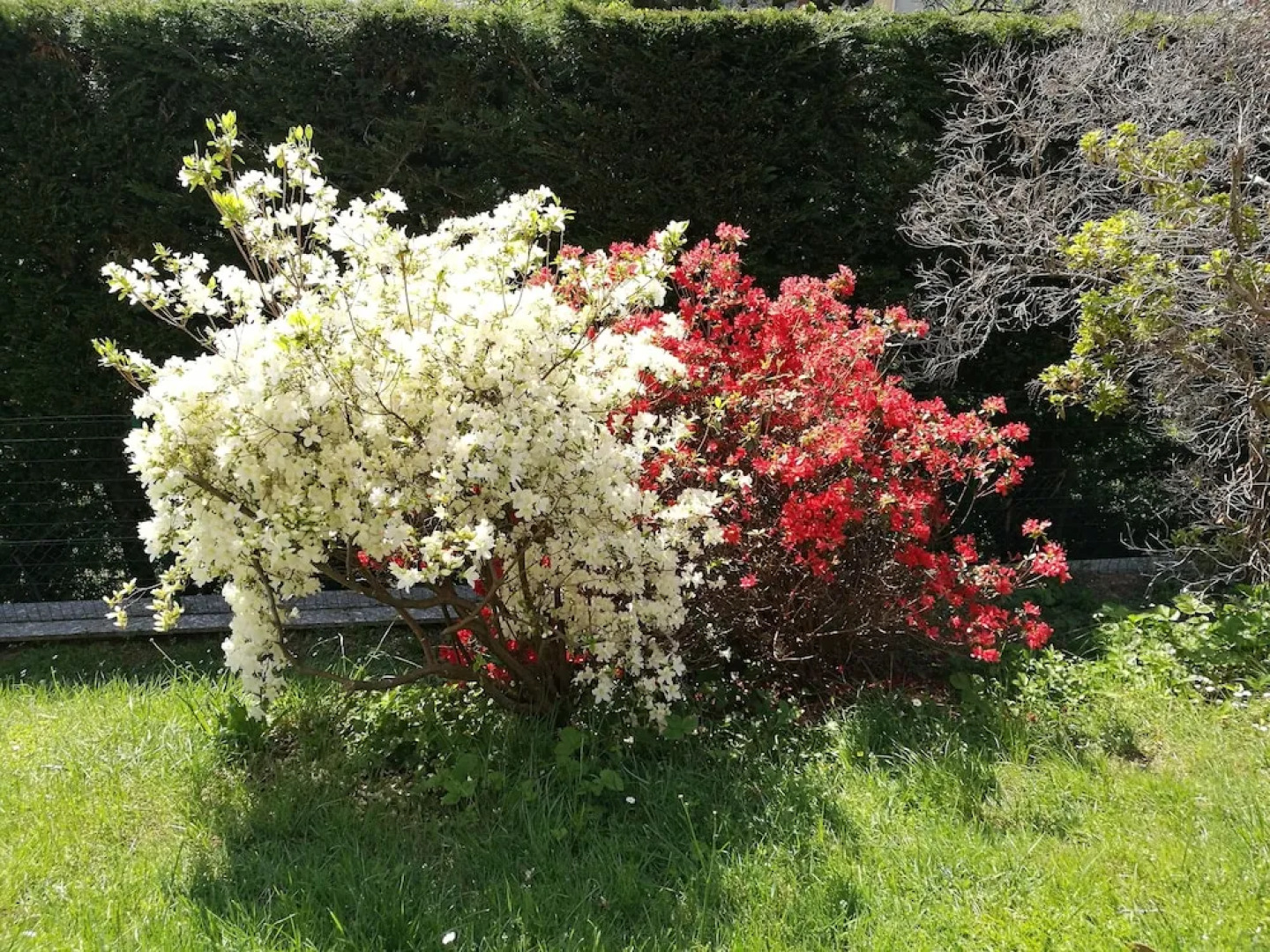 B&B Benessere & Ballo