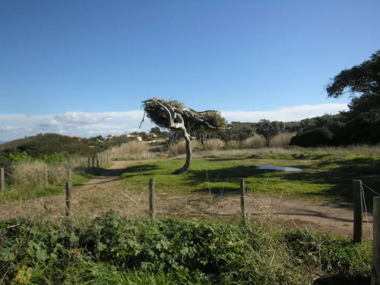 A Tastefully Furnished Villa With Private Pool, 8 km From the Mediterranean Sea