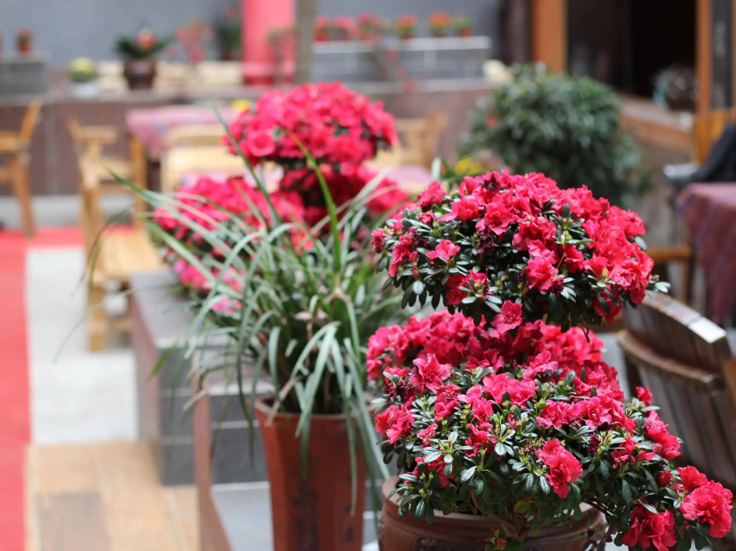 Chengdu Wenjun courtyard Hotel