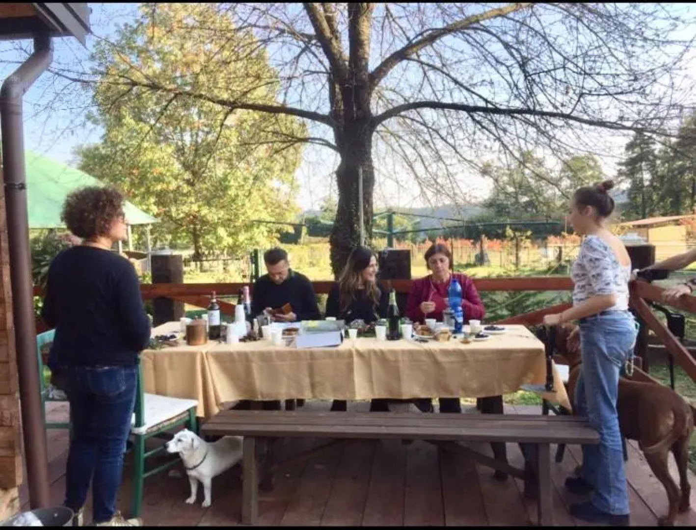 Tiny House - Lago Maggiore-Malpensa-Safari park