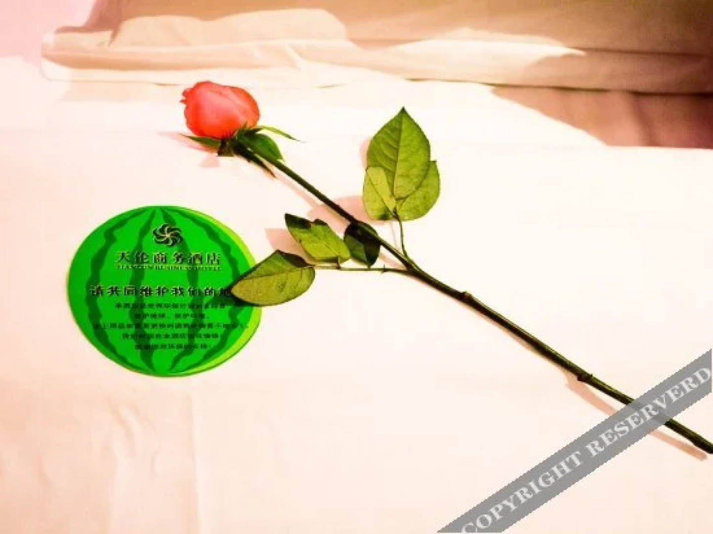 株洲天伦商务酒店