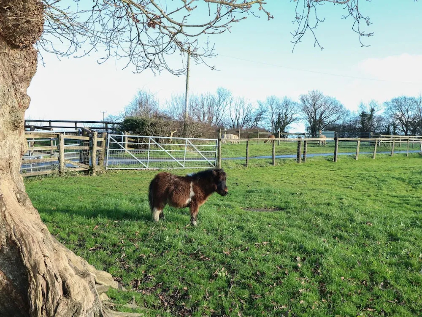 Saddlers Cottage, Berllandeg Farm
