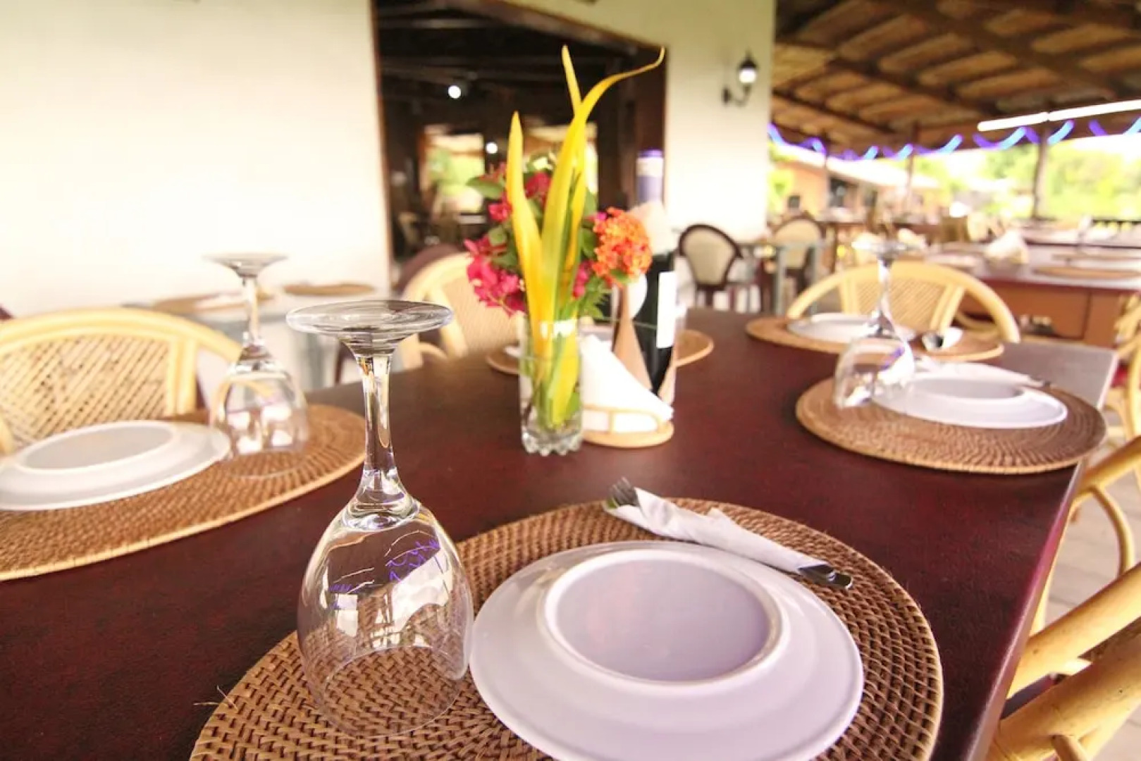 Parrot Paradise Resort