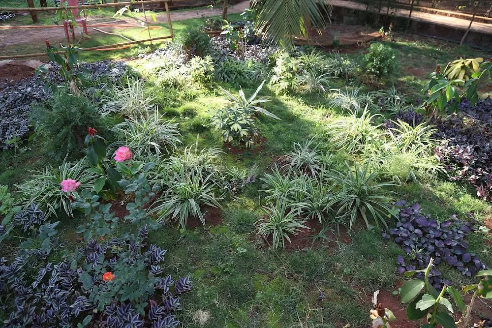 Darya sarang resort & Beer shopee