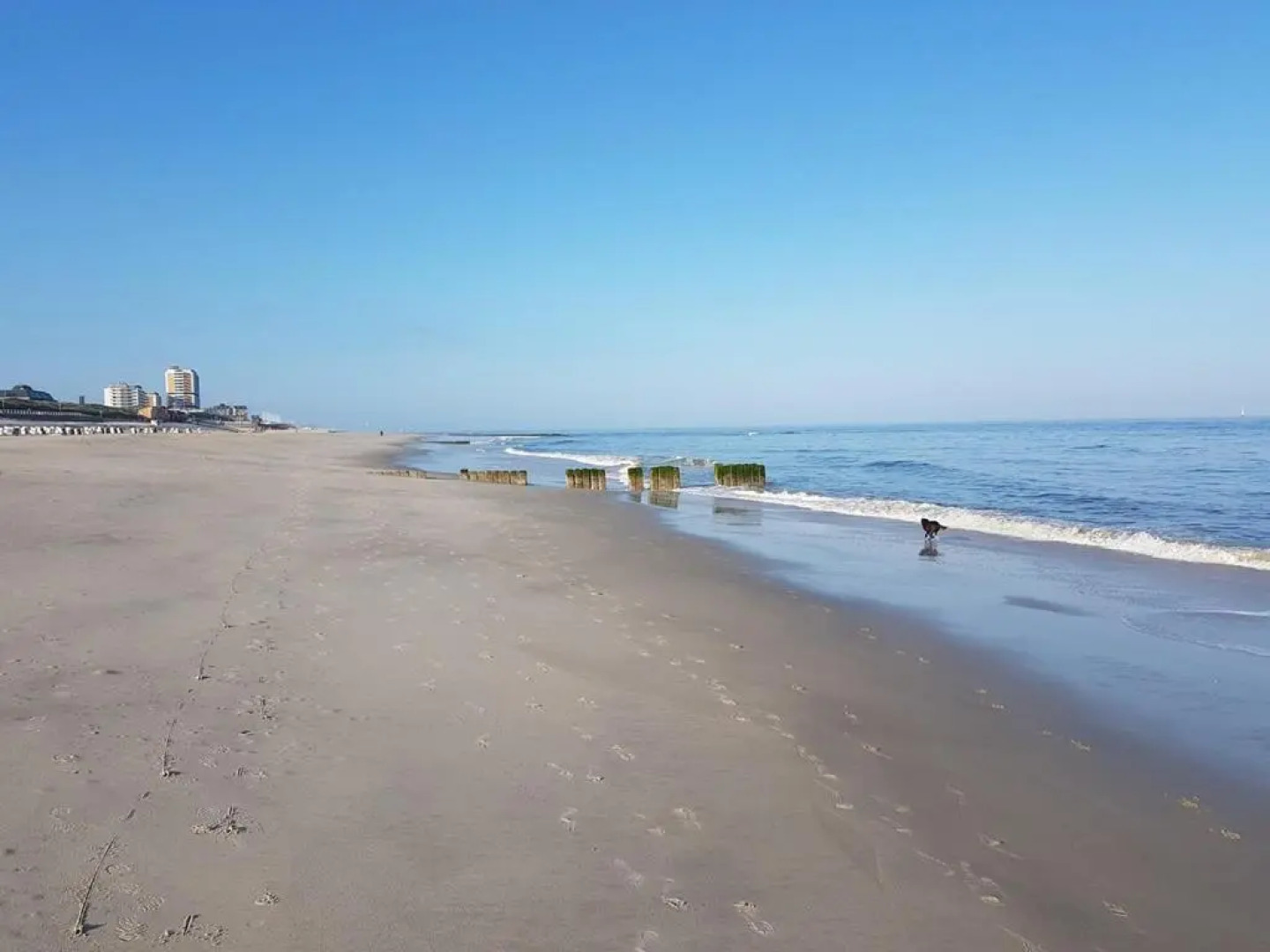Gemütliches 2-Zimmer-Appartement mit Balkon Richtung Süden.