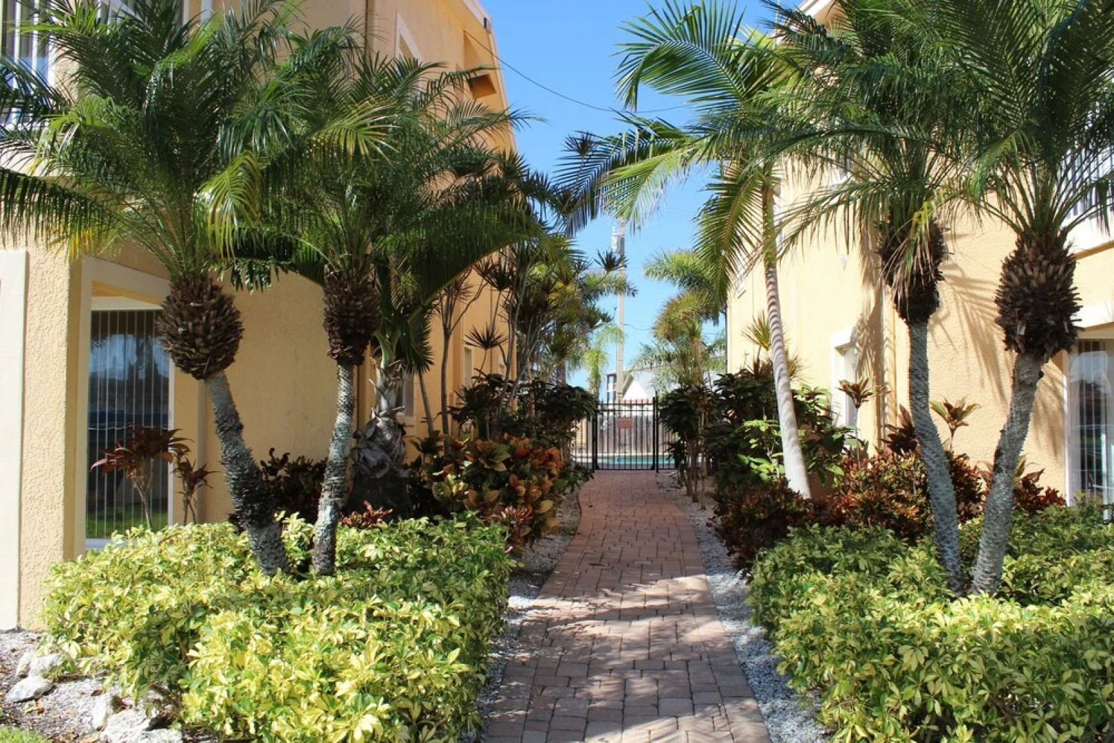 Lazy Starfish at Coconut Villas of Dunedin - Two Bedroom Condo