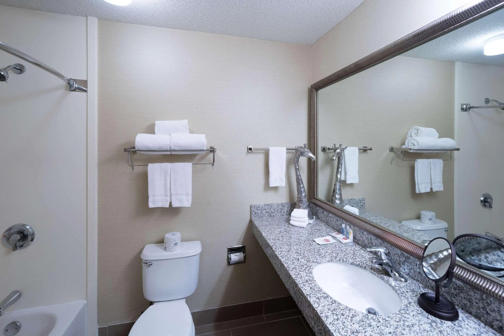 Comfort Inn at the Zoo Omaha