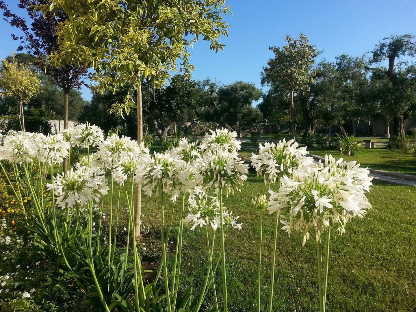 Willaria country house