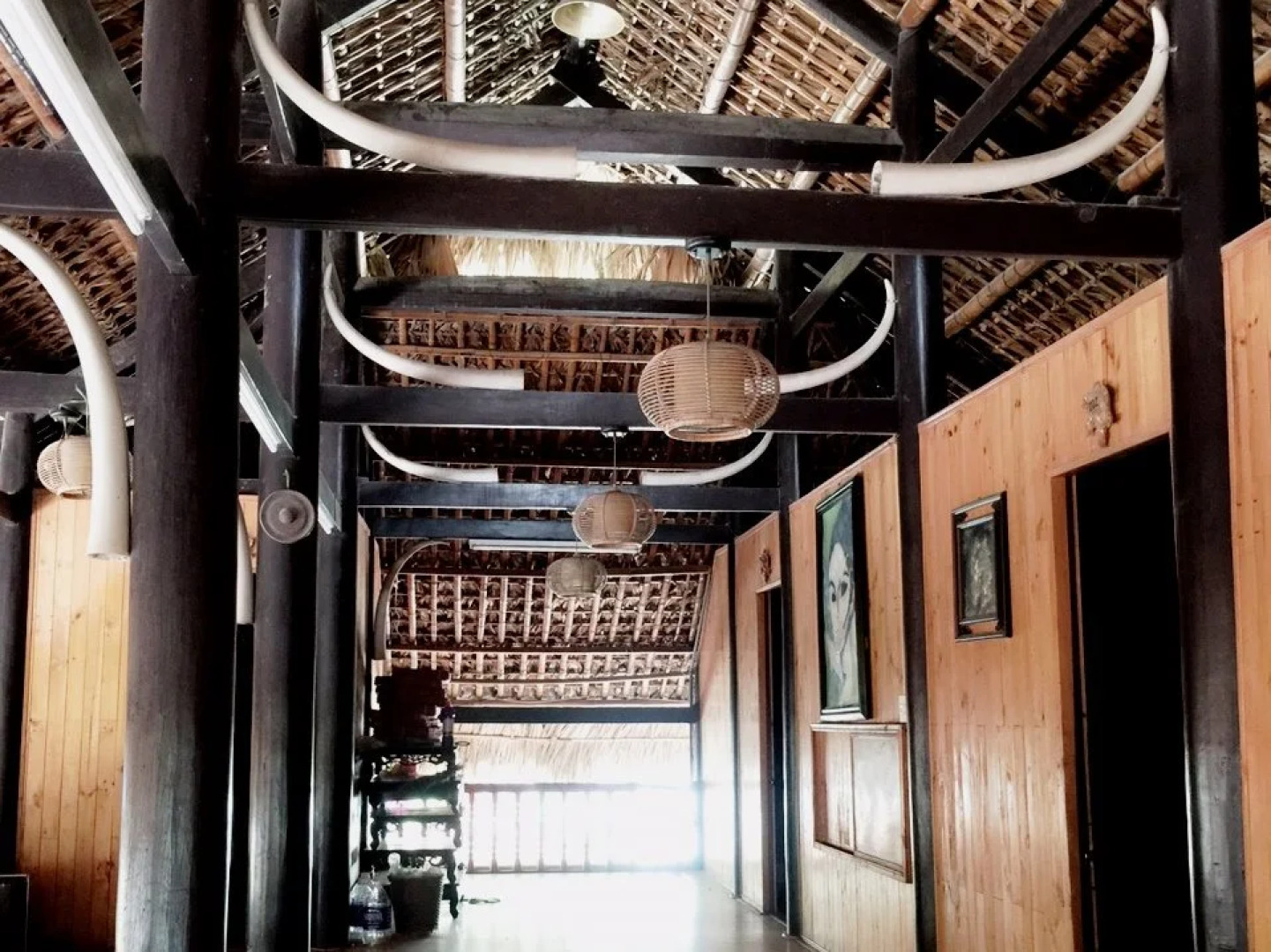 Cat Ba Mountain View