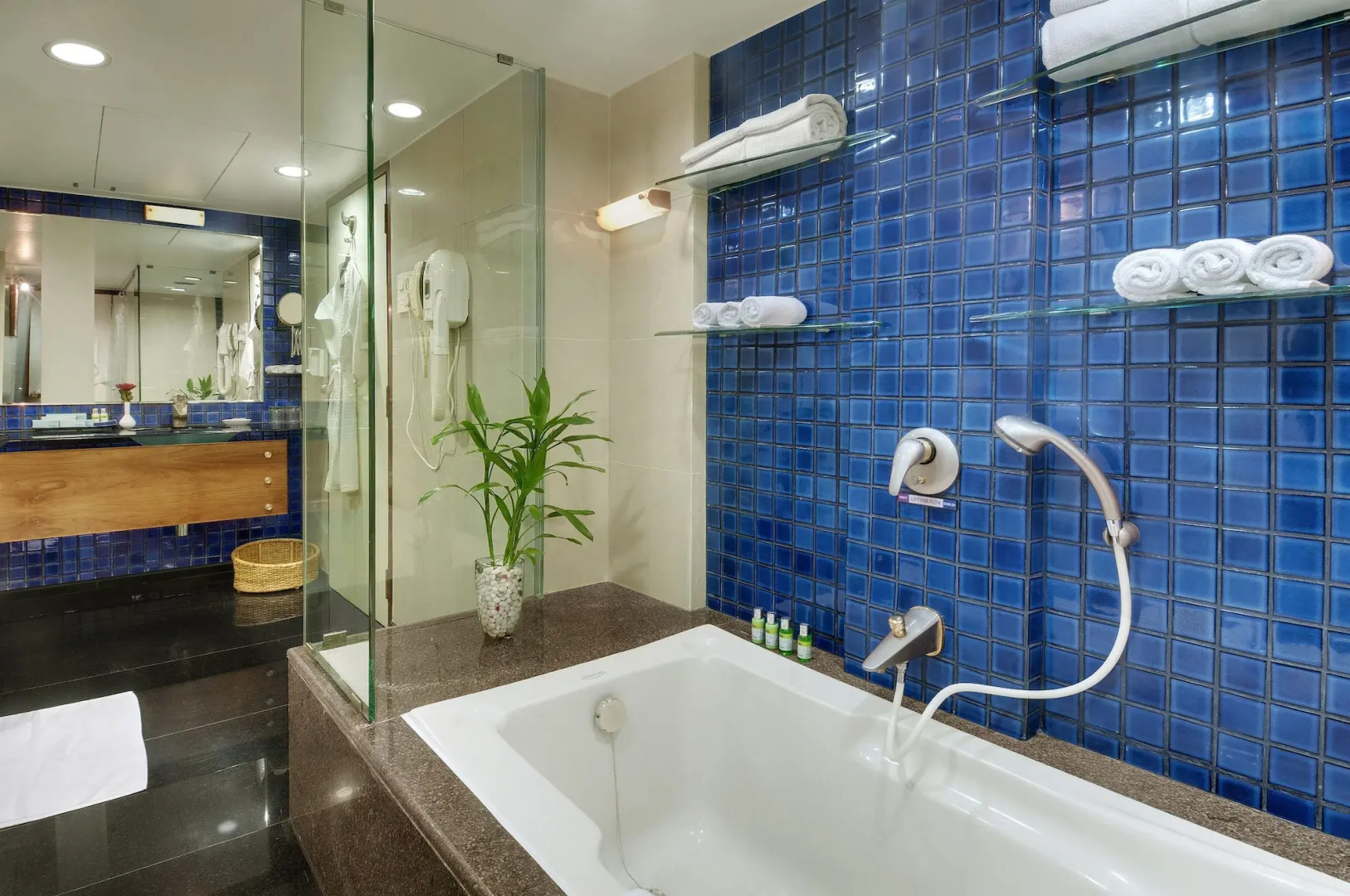 Hotel Kohinoor Continental, Airport - Newly Renovated