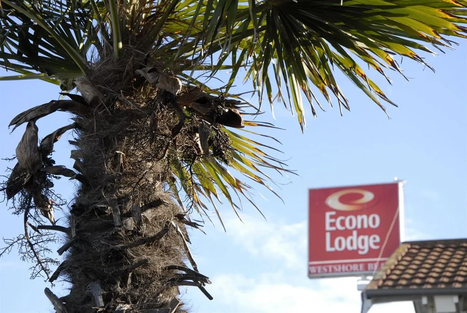 Econo Lodge Napier