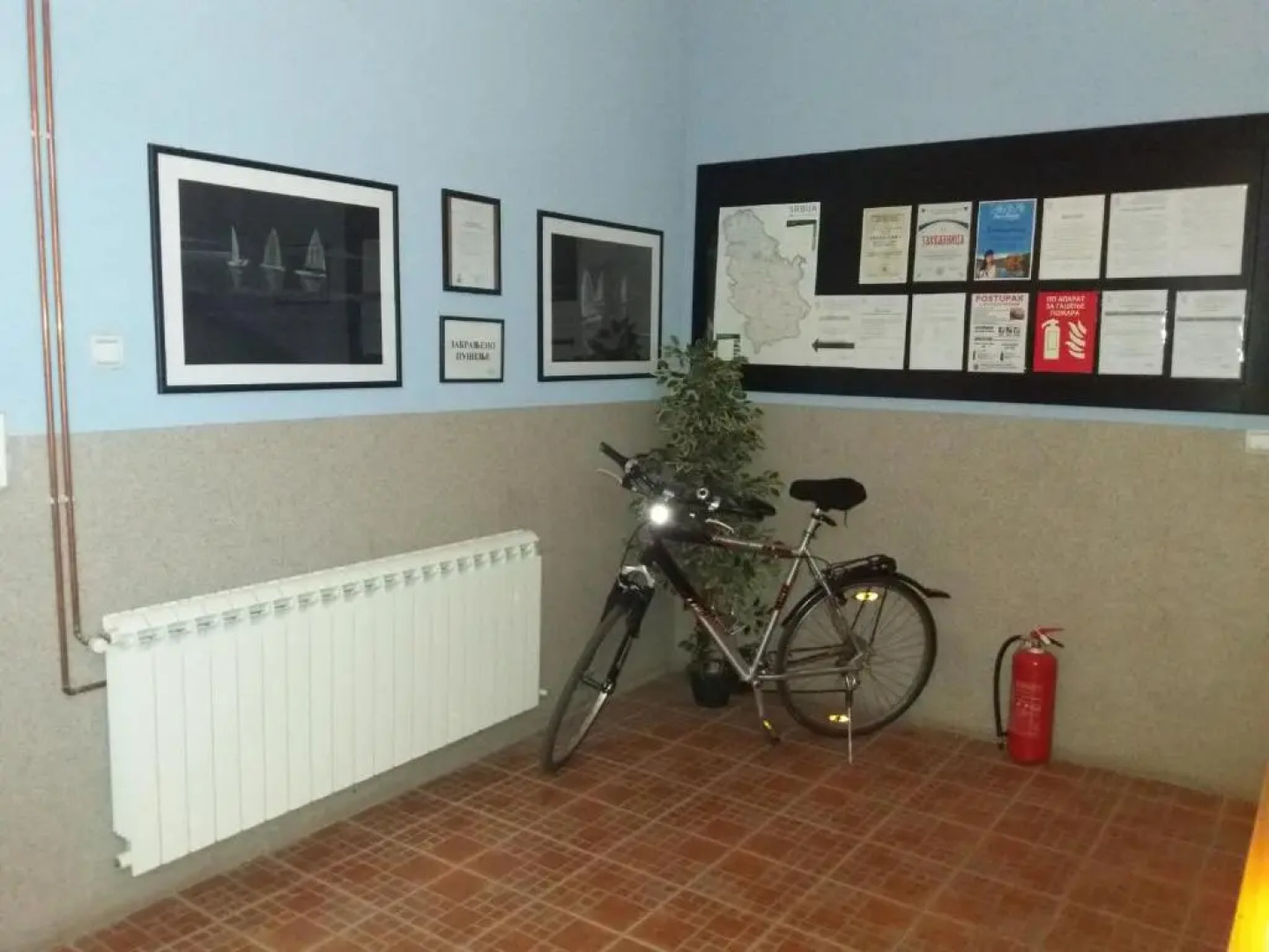 Apartments Zlatna Ribica