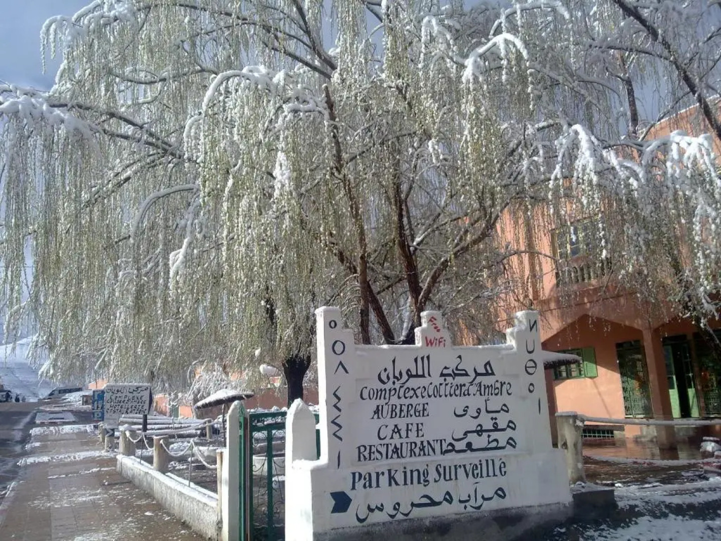 Complexe Collier D'Ambre