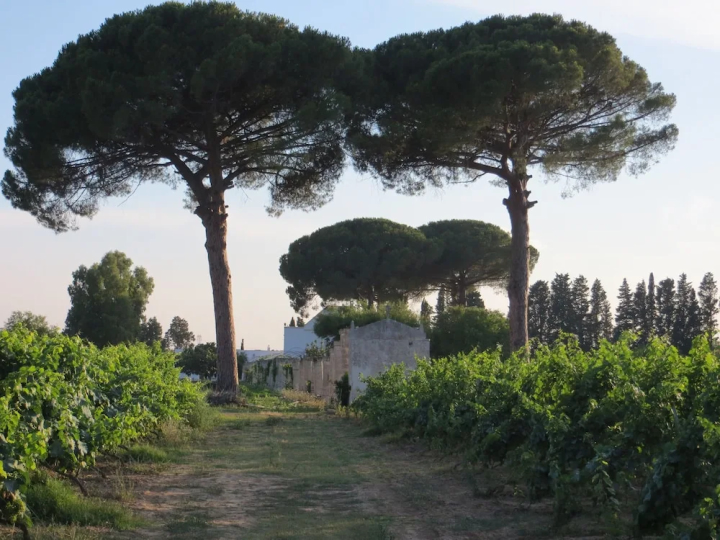 Agriturismo Occhineri